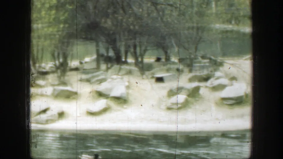 Soft 8mm frame showing a tree-lined island with scattered rocks along calm pond water in the Cincinnati footage.