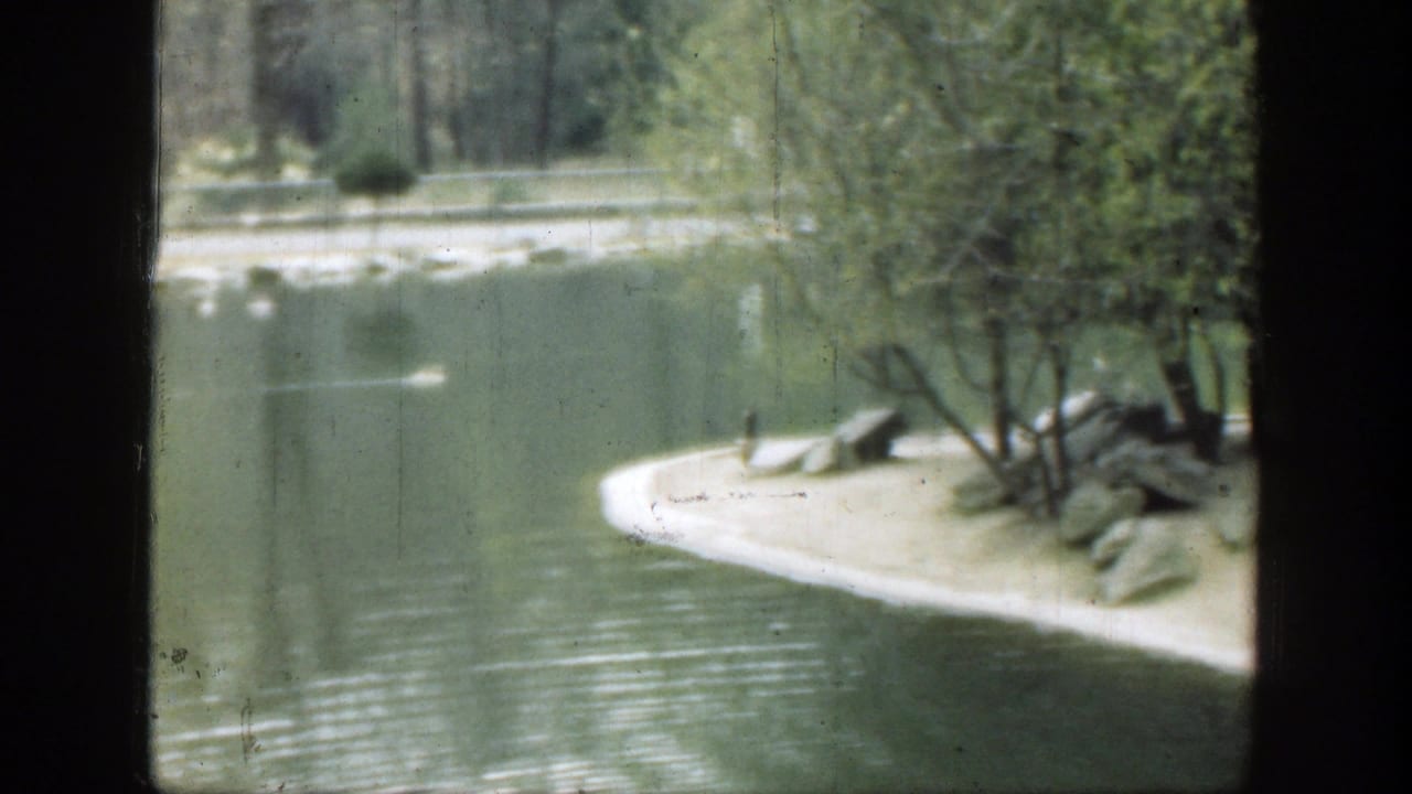 Pond shoreline with pale sand, trees, and calm water seen through a dark frame.