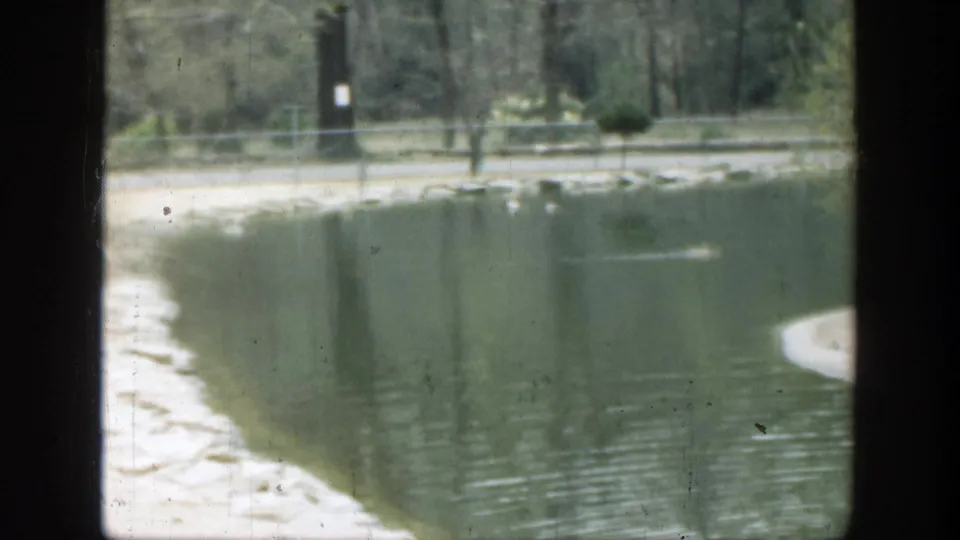 1949 Cincinnati-area home-movie still of a curving pale pond bank with trees, rocks, calm water, and a distant fence or path.