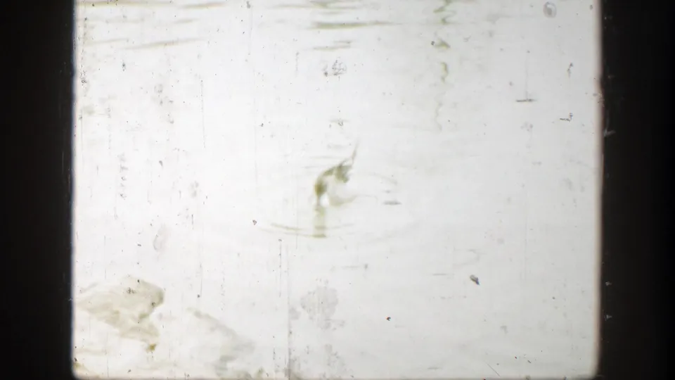 Faded 1949 8mm home-movie frame from Cincinnati showing mostly bright water or film surface with scratches and an indistinct bird form.