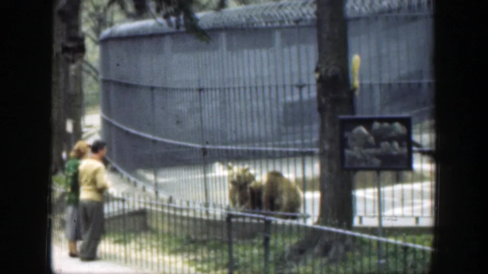 Adult visitors in period clothing stand near a railing while watching animals in a zoo enclosure in Cincinnati, Ohio, 1949.