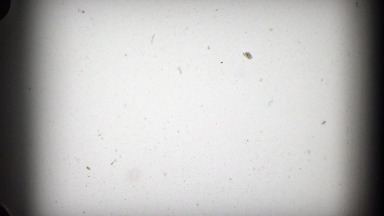 A mostly blank 8mm frame with visible dust, soft exposure, and dark film edges before the outdoor scene appears.