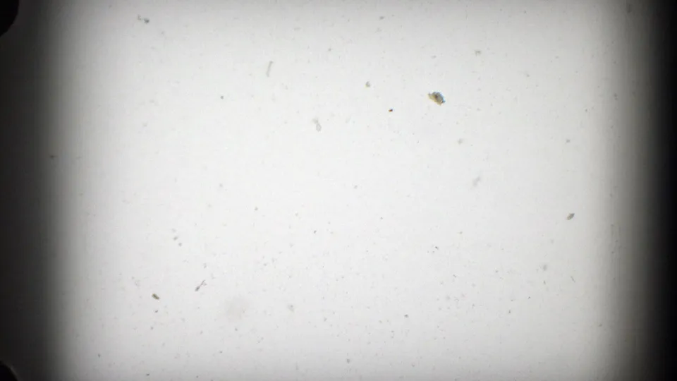 A mostly blank 8mm frame with visible dust, soft exposure, and dark film edges before the outdoor scene appears.