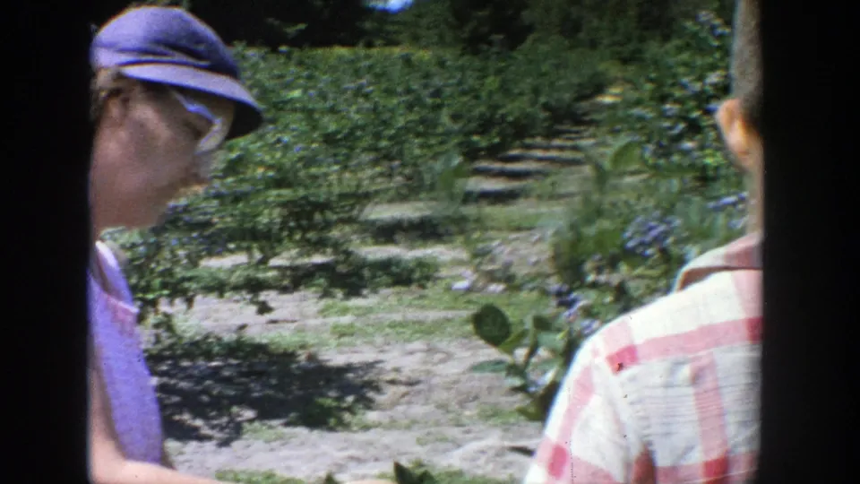 Two partially seen people stand beside blueberry bushes in the Wisconsin home-movie scene, with a blue cap and striped shirt visible.