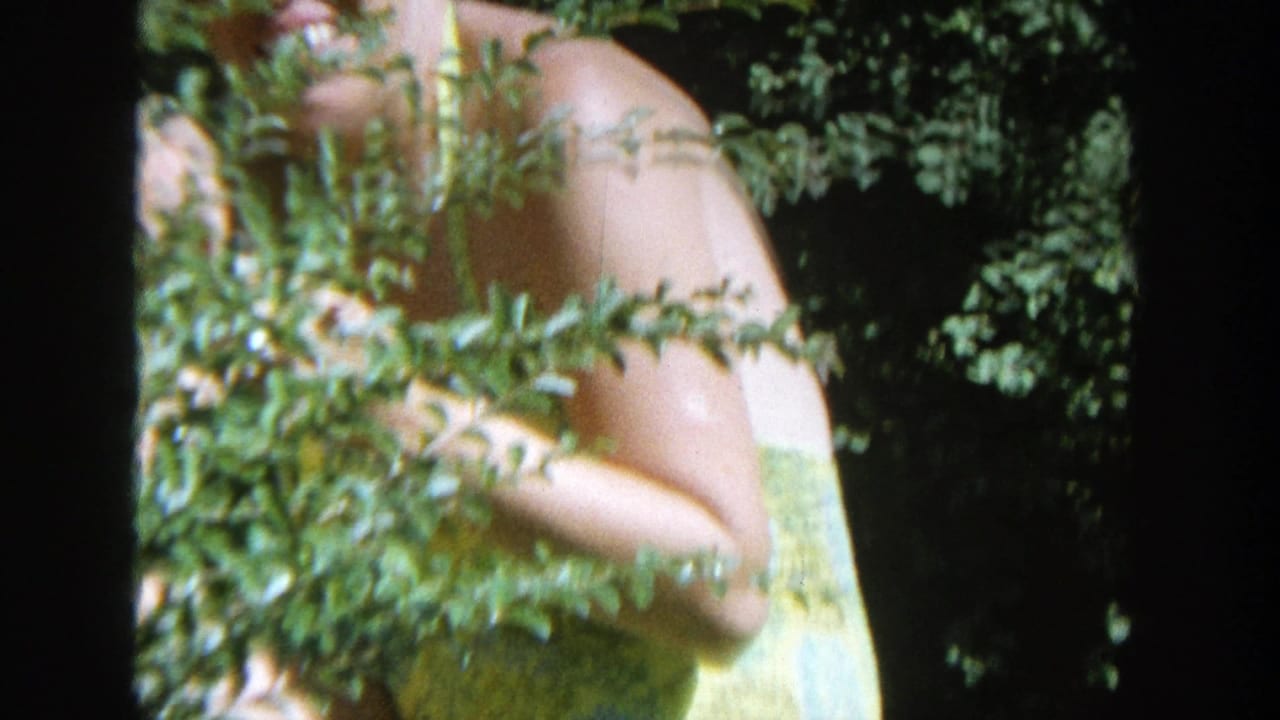 Woman partly obscured by leaves while standing in a sunny garden.