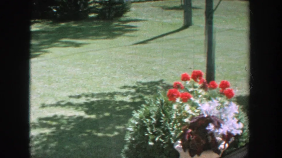 1964 Wisconsin backyard frame with a red-flower planter, green lawn, tree trunks, and the woman partly visible at the bottom edge.