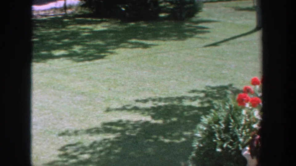 1964 Wisconsin 8mm frame showing a sunny green lawn with tree shade, red garden flowers, shrubs, and dark foreground bars.