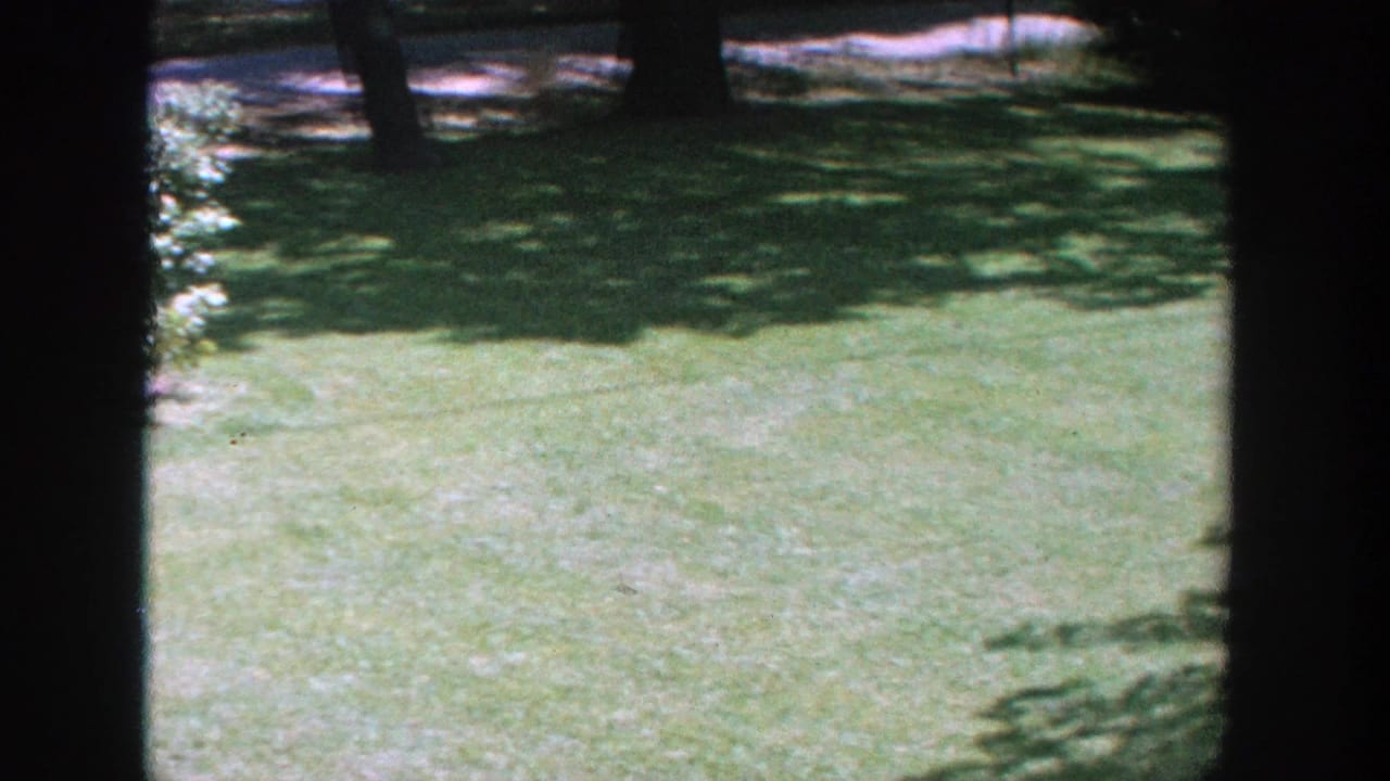 Open green lawn with dappled shadows, trees at the edge, and dark frame bars.