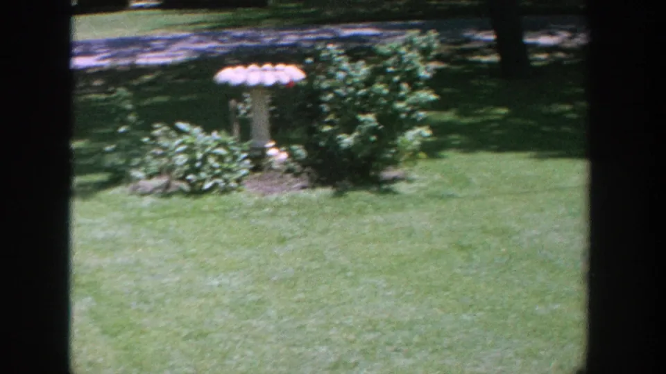 1964 Wisconsin garden frame showing a white birdbath set among shrubs, with green lawn and tree shade around it.