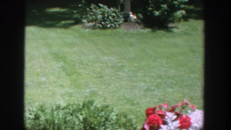 1964 Wisconsin 8mm yard view with a green lawn, shaded shrubs, garden bed, and red flowers near the lower edge.