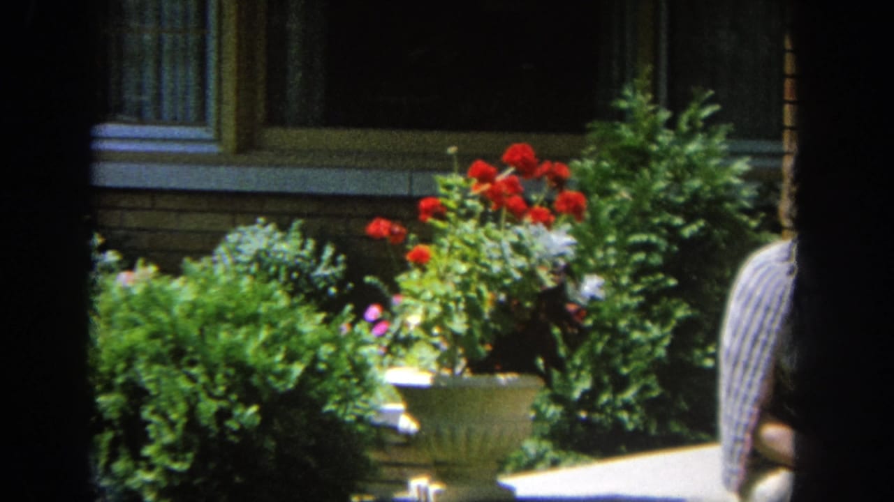 Brick house frontage with planted flowers and shrubs, partly obscured by dark film frame edges.
