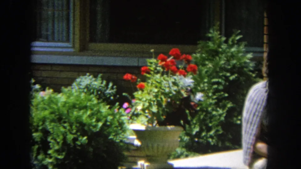 1964 Wisconsin home-movie frame showing a brick house, window, stone planter, red flowers, and shrubs near the front garden.