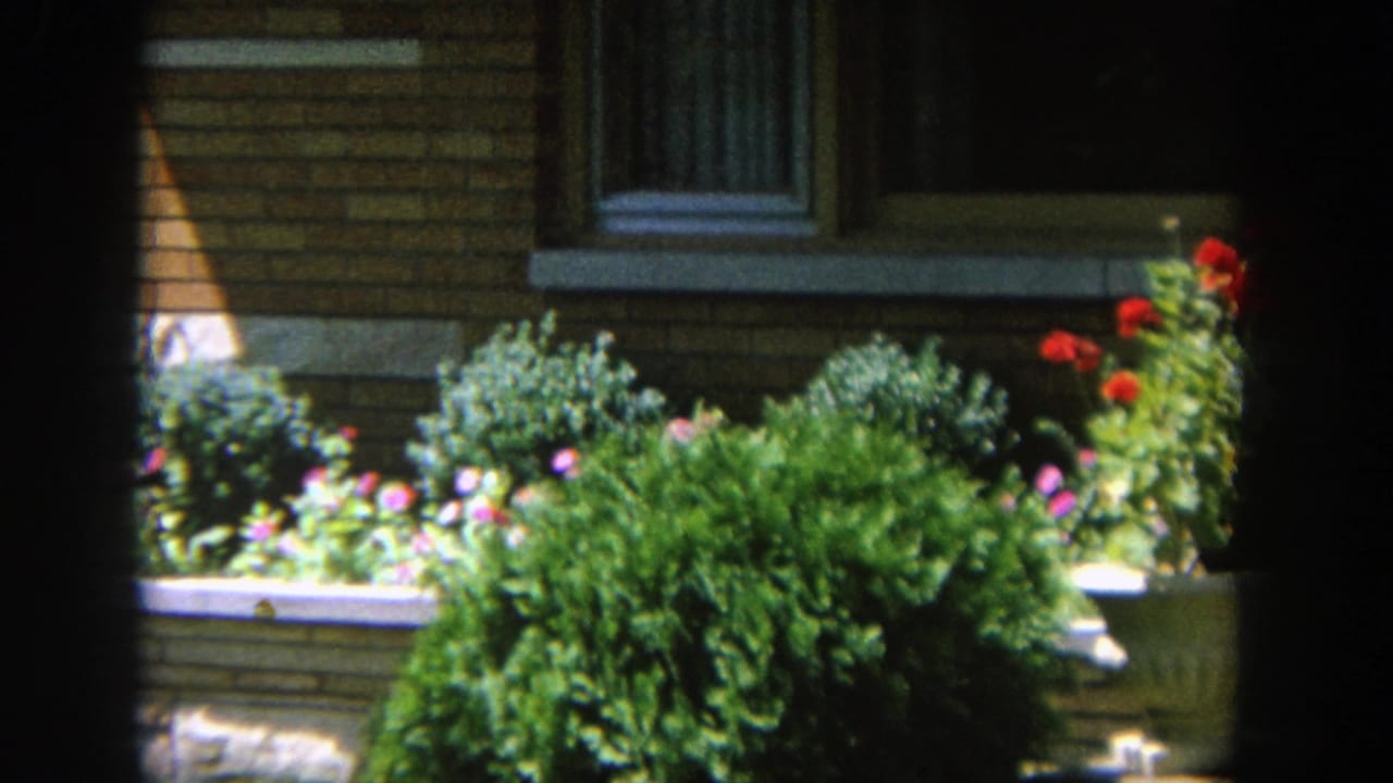 A partly hidden person passes in front of a flower planter and brick house exterior.