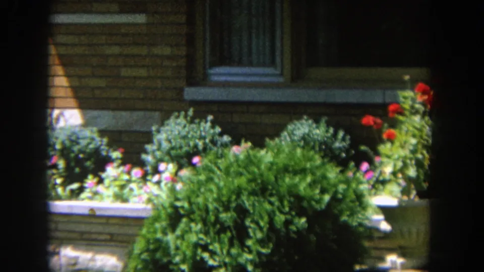A person is partly obscured while moving past a planted garden in front of a Wisconsin brick home in 1964 footage.