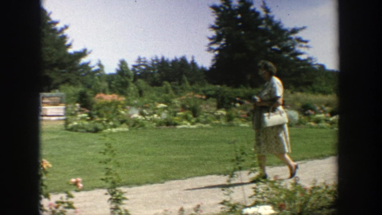 Woman walking along a yard path with flower beds and evergreens behind her.