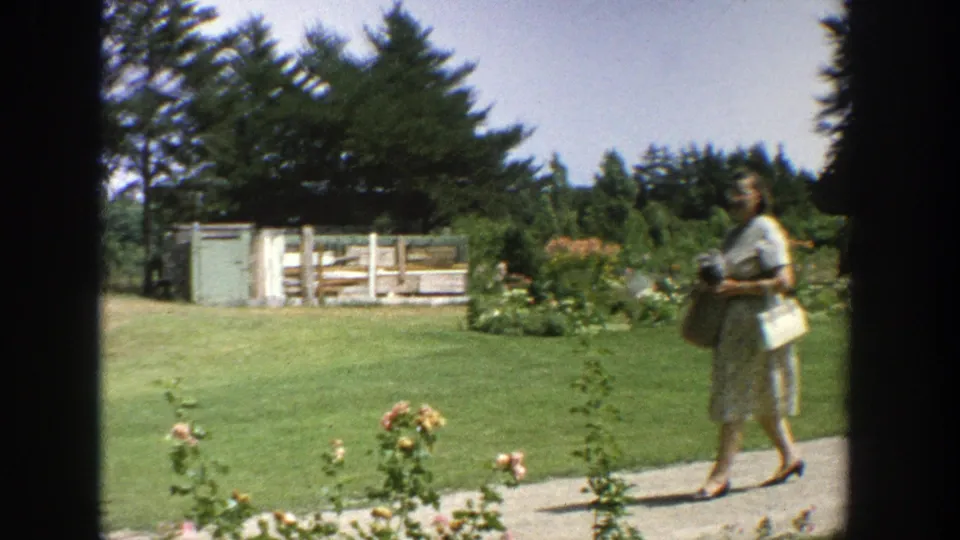 The woman walks farther along the garden path in a 1960s Wisconsin yard bordered by lawn, fencing, and planted beds.