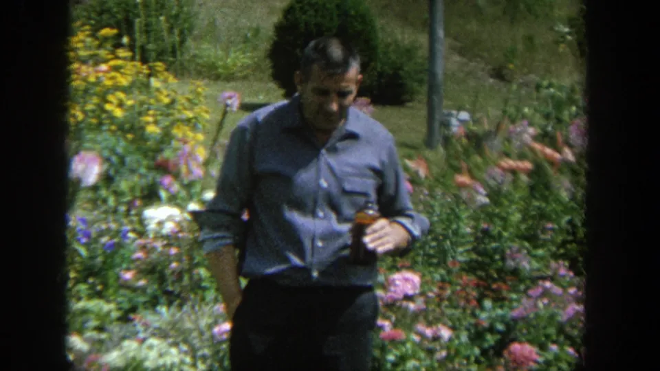 Adult man in a blue button-down shirt stands in a flower garden in Wisconsin home-movie footage from 1964.