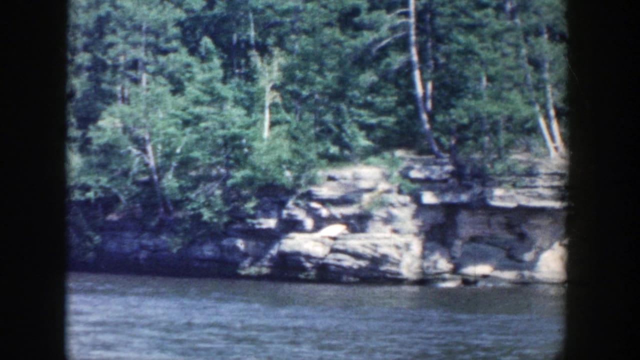 Rocky wooded shoreline beside rippling river water.