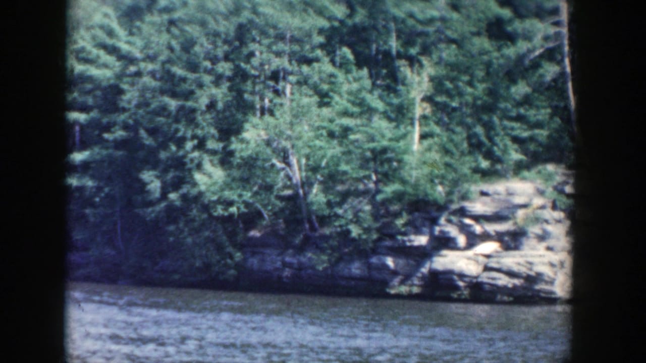1964 Wisconsin river view showing trees rooted above pale rock ledges along the waterline.