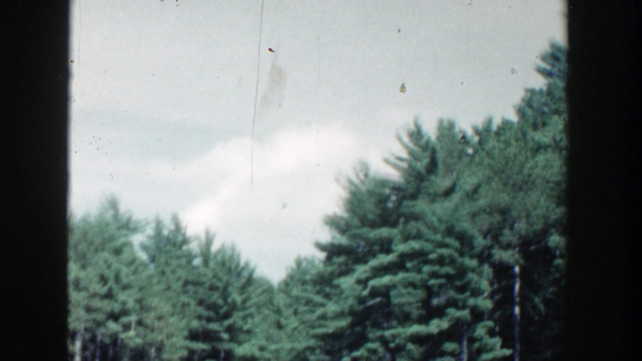 1964 Wisconsin home-movie view of evergreen trees along a riverbank, with pale sky and visible 8mm frame edges.