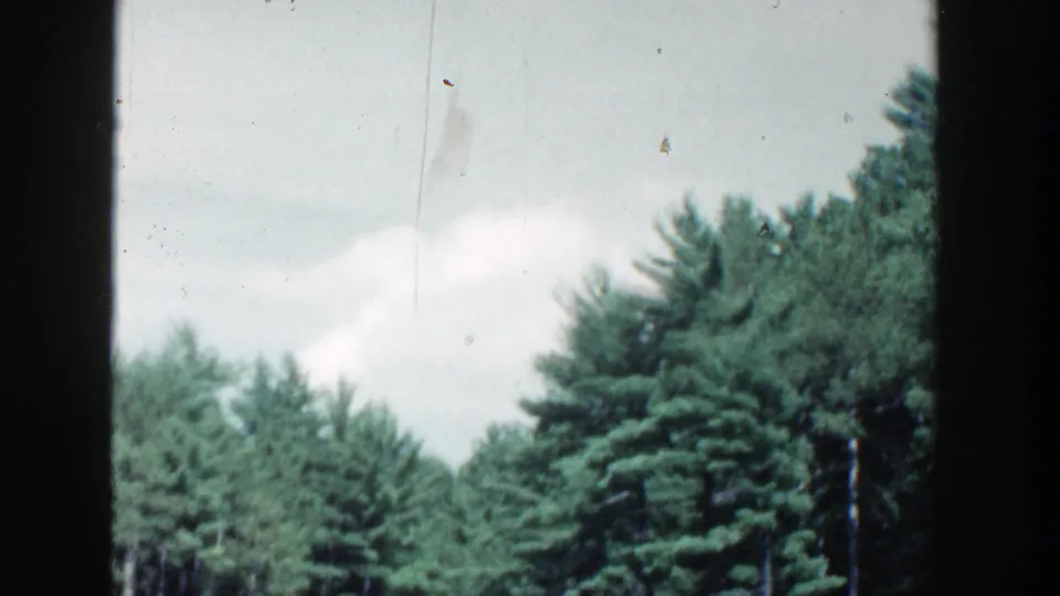 1964 Wisconsin home-movie view of evergreen trees along a riverbank, with pale sky and visible 8mm frame edges.
