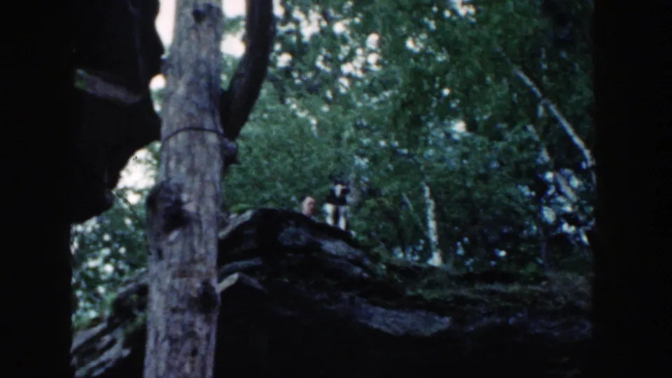 Shaded 1964 Wisconsin 8mm frame looking through tree trunks, foliage, and exposed roots near the lakeside rocks.