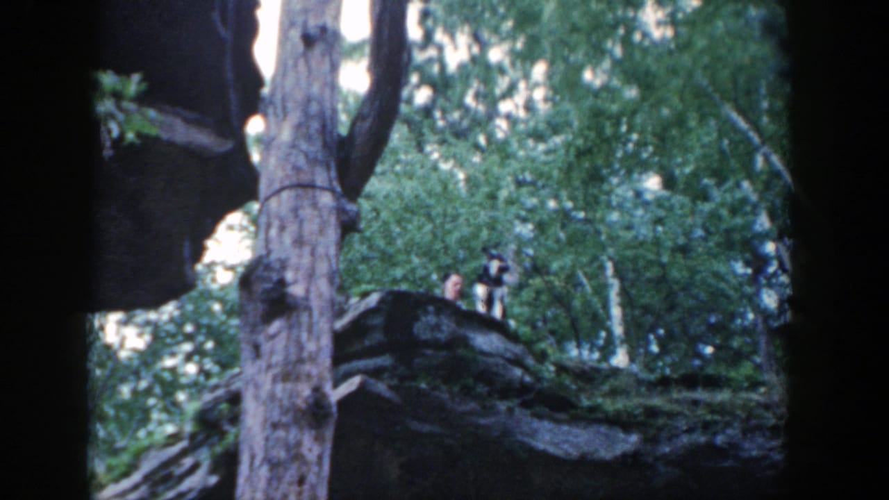 Dog and person on a rocky ridge seen through trees and film-frame borders.