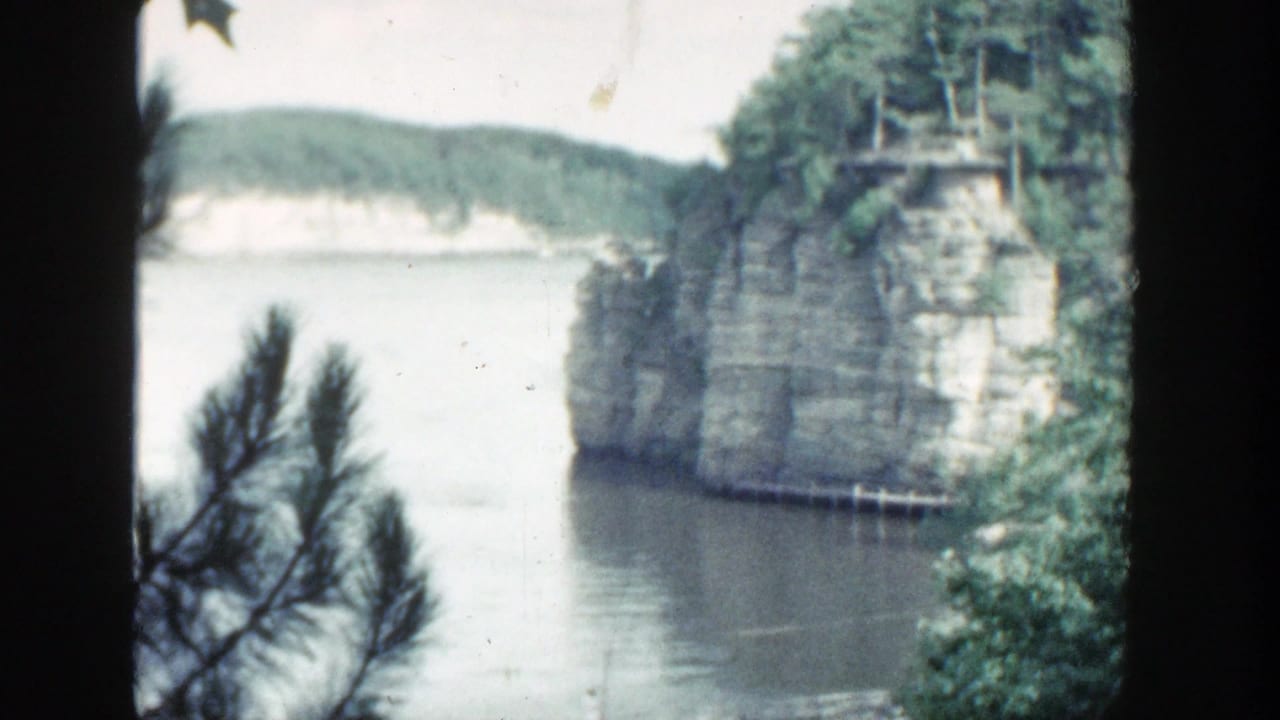 Wooded cliff and calm water framed by a dark tree trunk and pine branches.