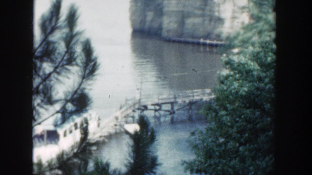 White tour boat near a wooden dock on calm water, partly obscured by pine branches and dark window framing.