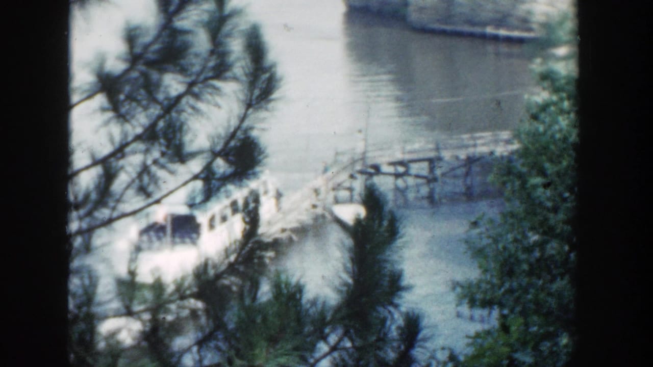 Tour boat at a dock on the lake, framed by pine needles, foliage, and dark vertical borders.