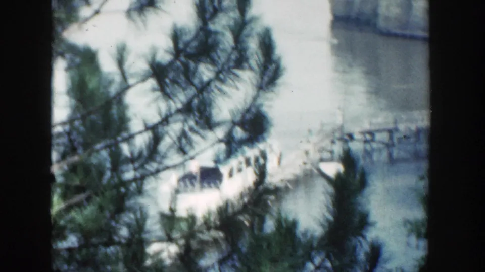 A soft 8mm view shows the Wisconsin lake tour boat near the pier, partially hidden by pine branches and foreground structure.