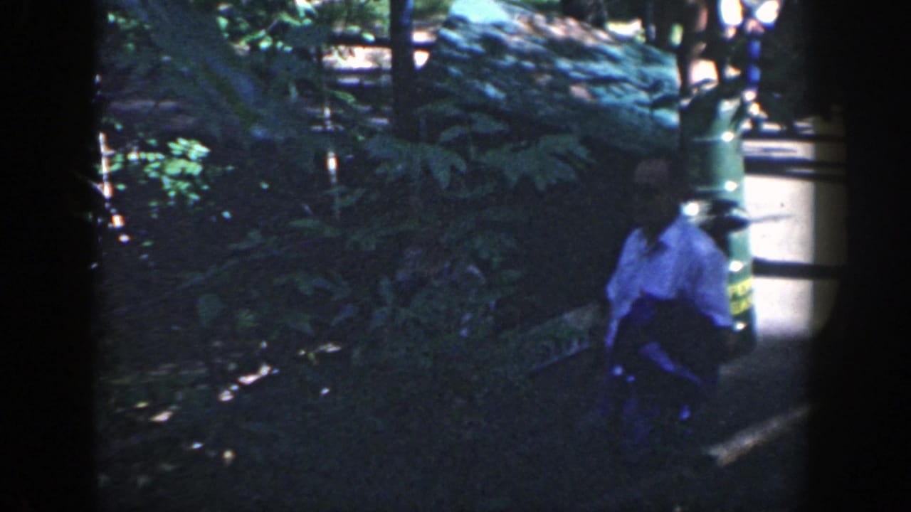 1964 Wisconsin 8mm frame showing a man walking along a wooded path with leafy plants and a green trash can nearby.