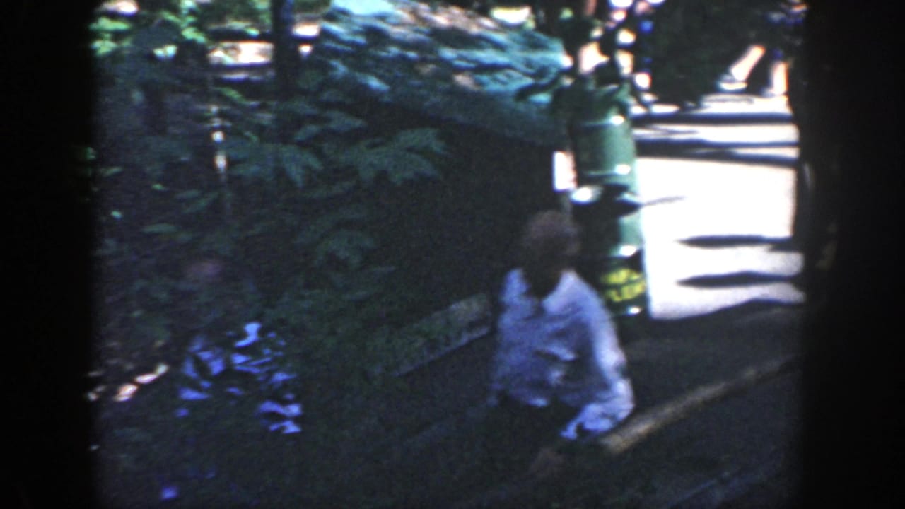 Man walking toward the camera on a park path with foliage and a green trash can behind him.