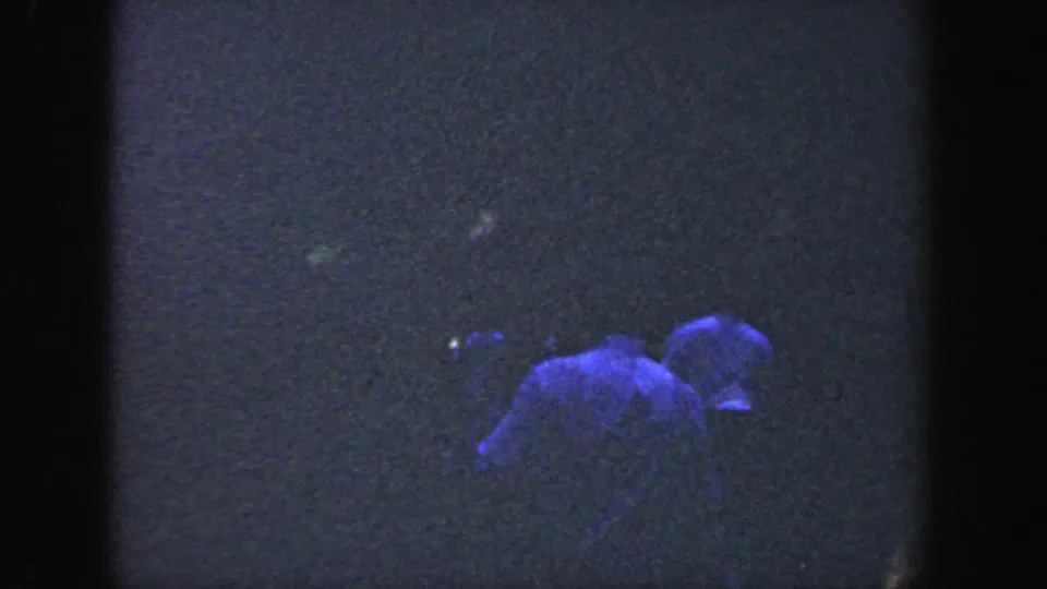 Dark, grainy 8mm frame from the Wisconsin clip showing a blue-tinted person partly visible near water.
