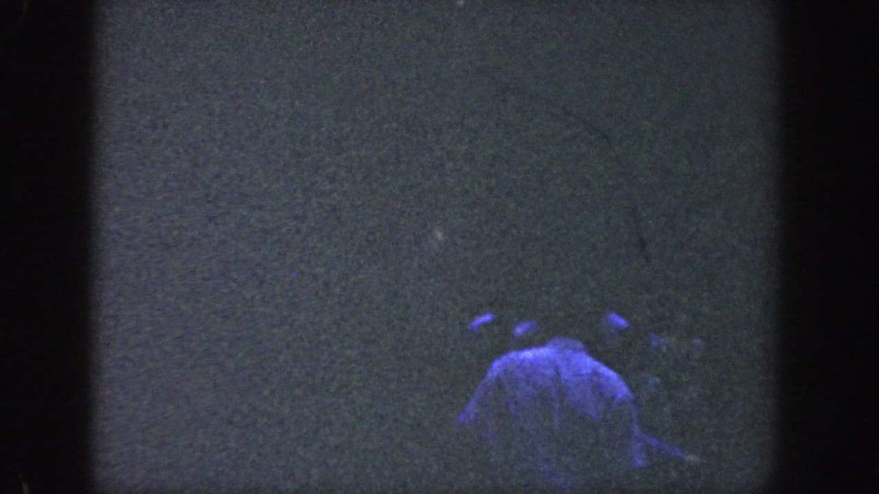 1964 Wisconsin 8mm frame showing a man from behind in dim woods, partly obscured by grain and blue-purple light.