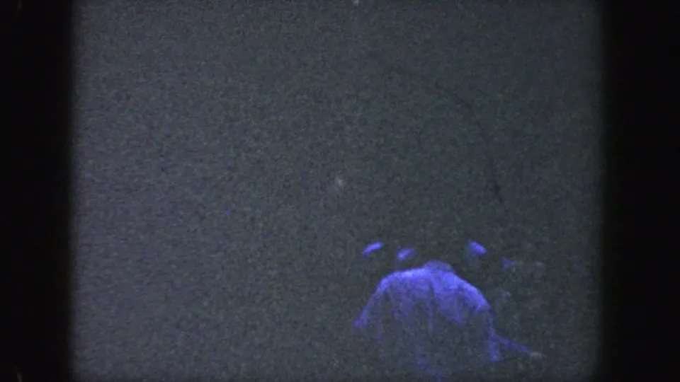 1964 Wisconsin 8mm frame showing a man from behind in dim woods, partly obscured by grain and blue-purple light.