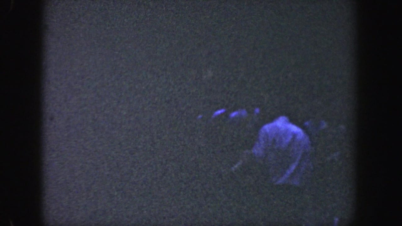 A distant man in a pale shirt stands or walks through a dark wooded scene.