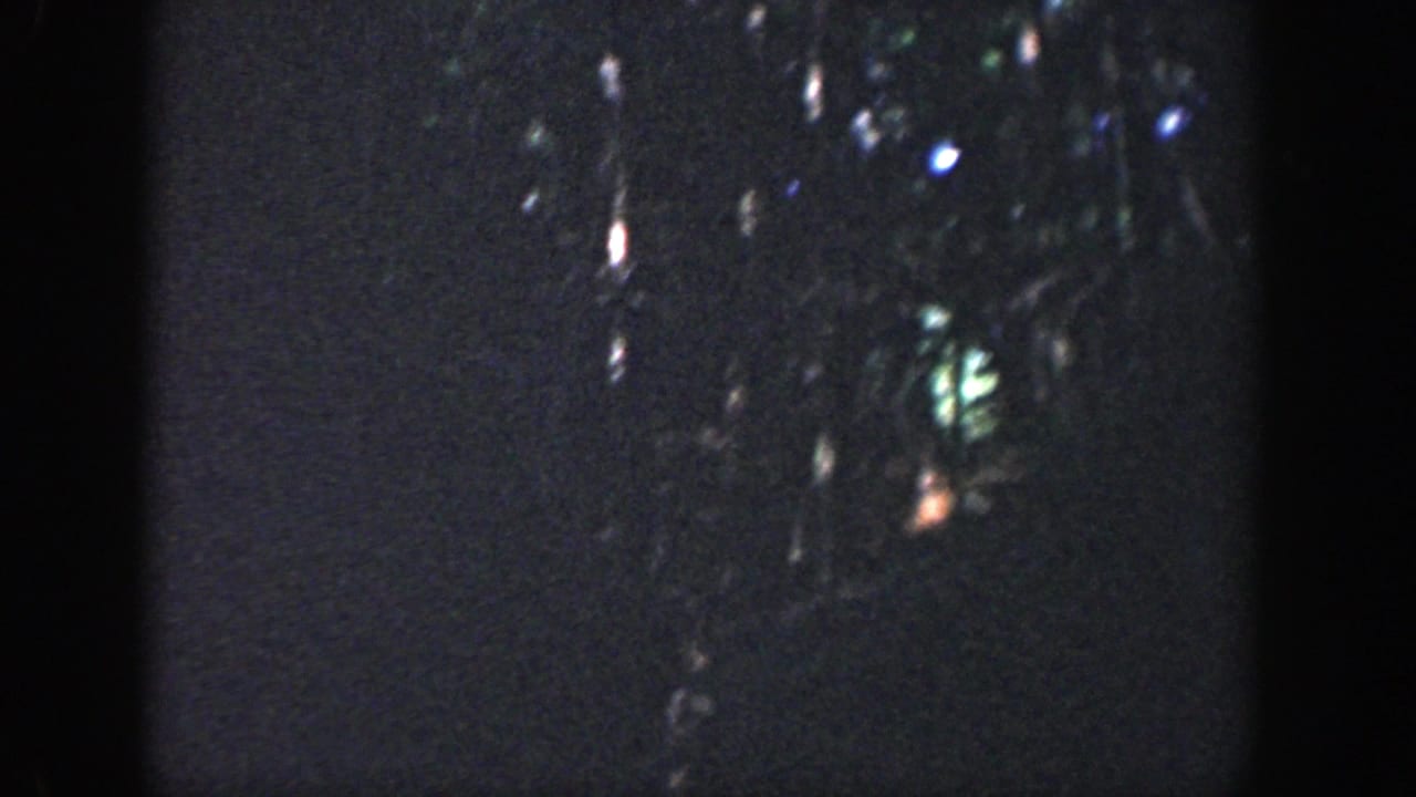 Dark wooded area with faint foliage highlights and heavy film grain.