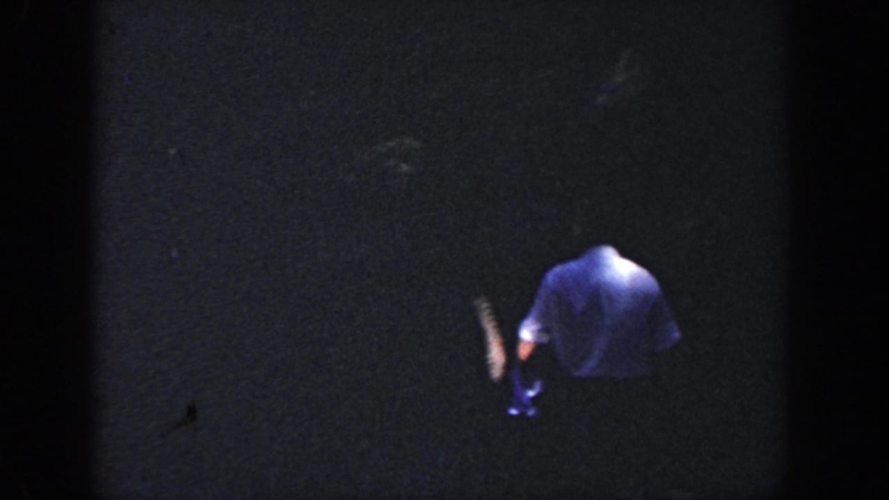 1964 Wisconsin 8mm frame with an adult man seen from behind, walking away through a dim wooded area.