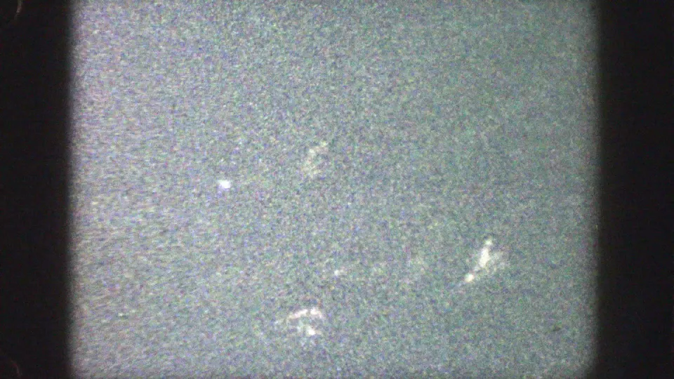 1964 Wisconsin 8mm frame with low exposure, greenish cast, film grain, and indistinct woodland ground detail.