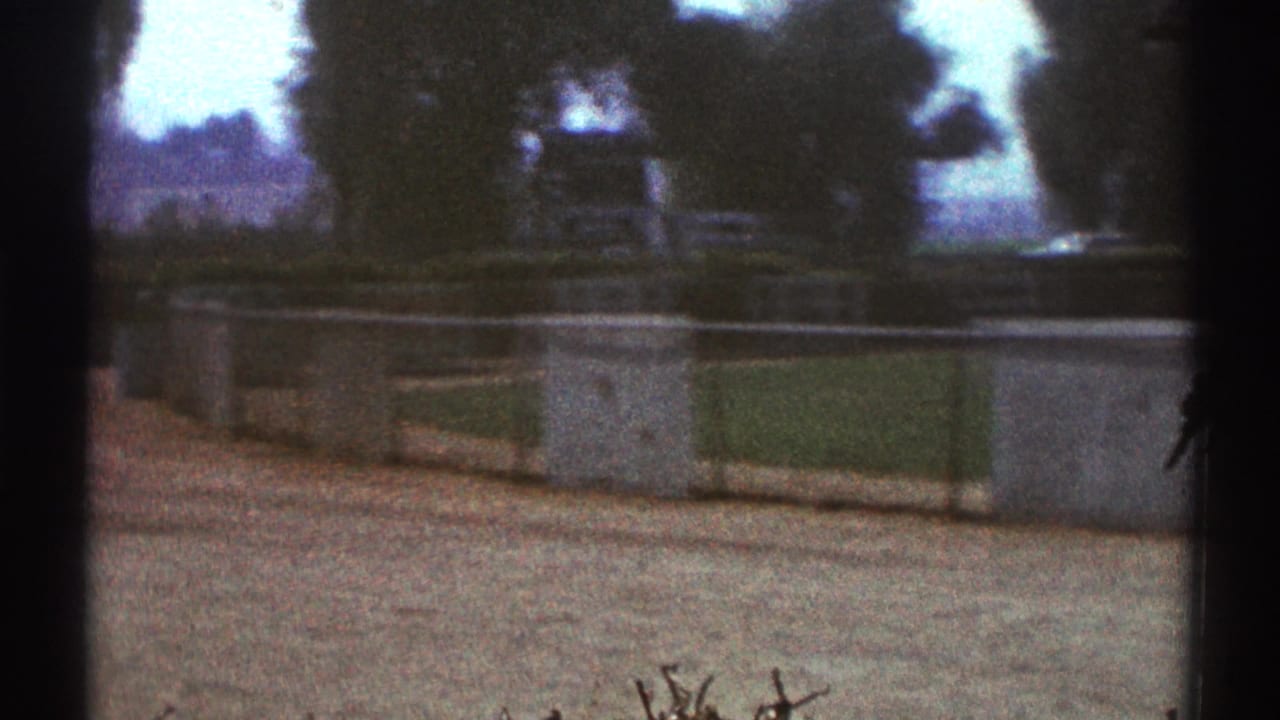 Soft 8mm view of pavement, trees, low barriers, and dark vertical frame edges.