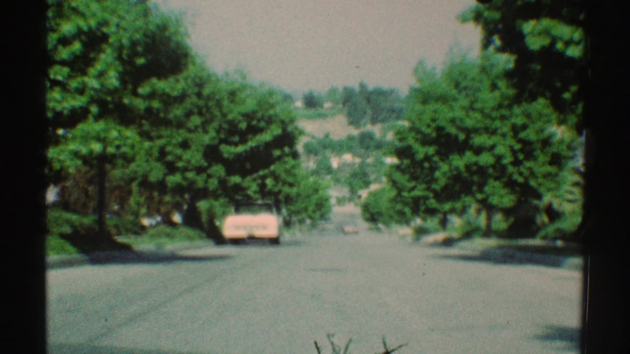 Tree-lined residential street with a parked pink car ahead in sunlight.