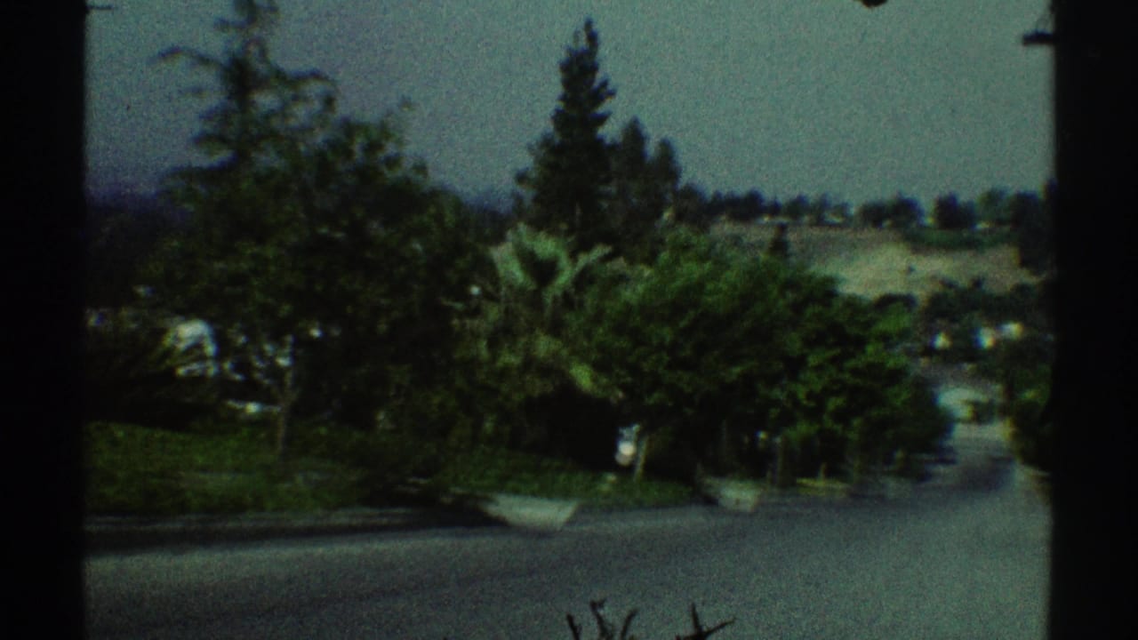Tree-lined residential road descending through a hilly neighborhood under bright daylight.