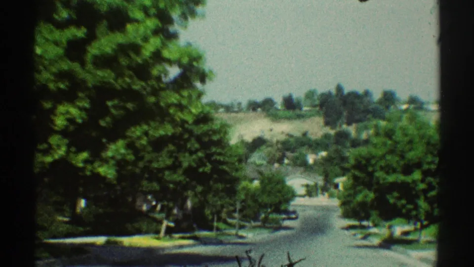 Late shot of the 1969 Woodland Hills drive, showing a curving street, large roadside trees, greenery, and open hillside beyond.