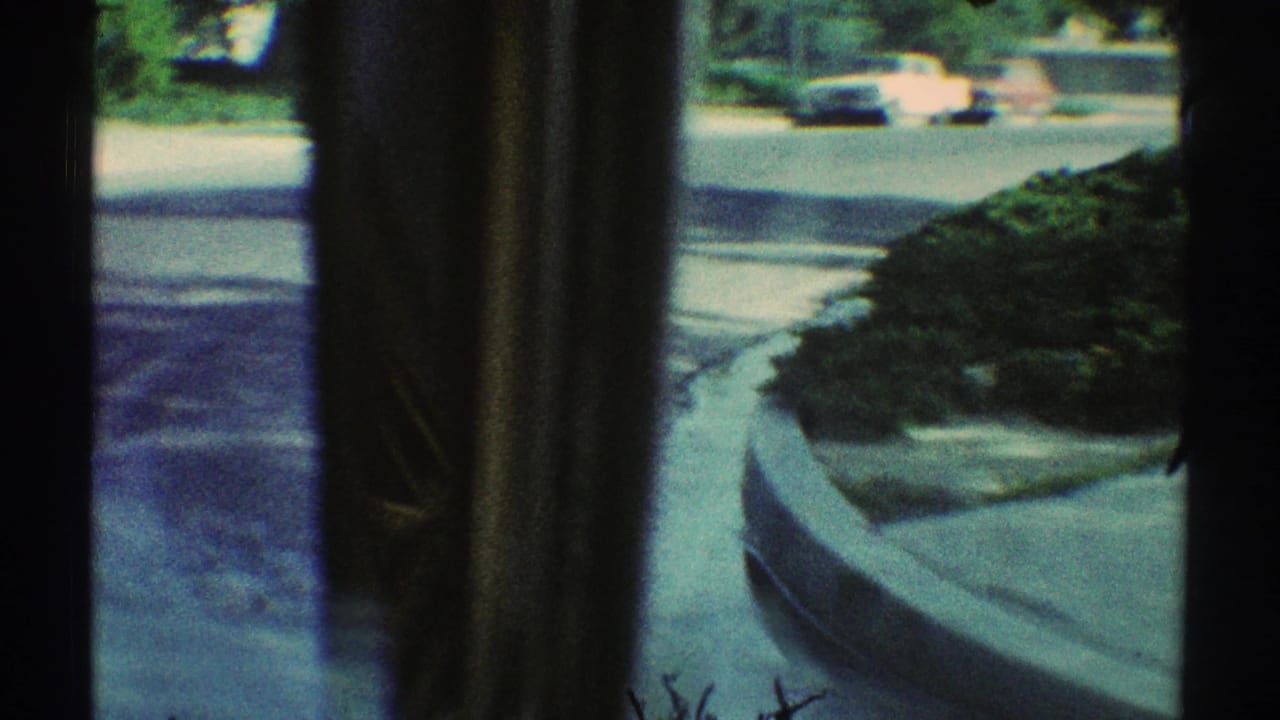1969 Woodland Hills street view through a window frame, showing a curving road, sidewalk edge, low plantings, trees, and cars in the distance.