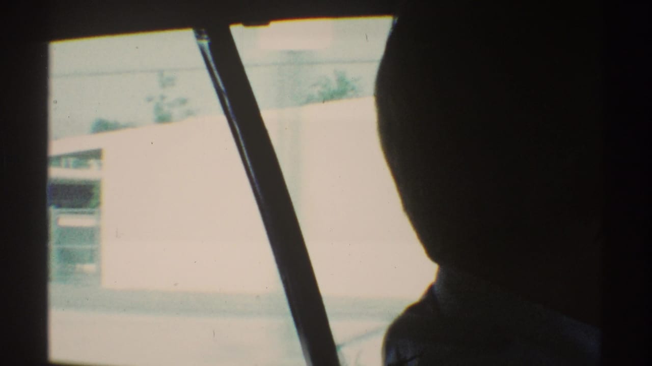 Silhouetted driver seen from inside a moving car with bright houses outside the window.