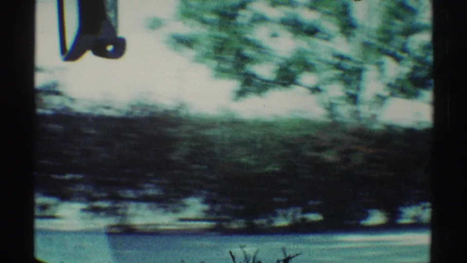 Motion-blurred 1969 Woodland Hills view of roadside greenery filmed from inside a moving car.