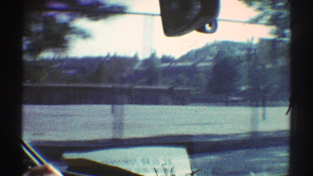 View through a car windshield with a newspaper on the dashboard and trees beyond the road.