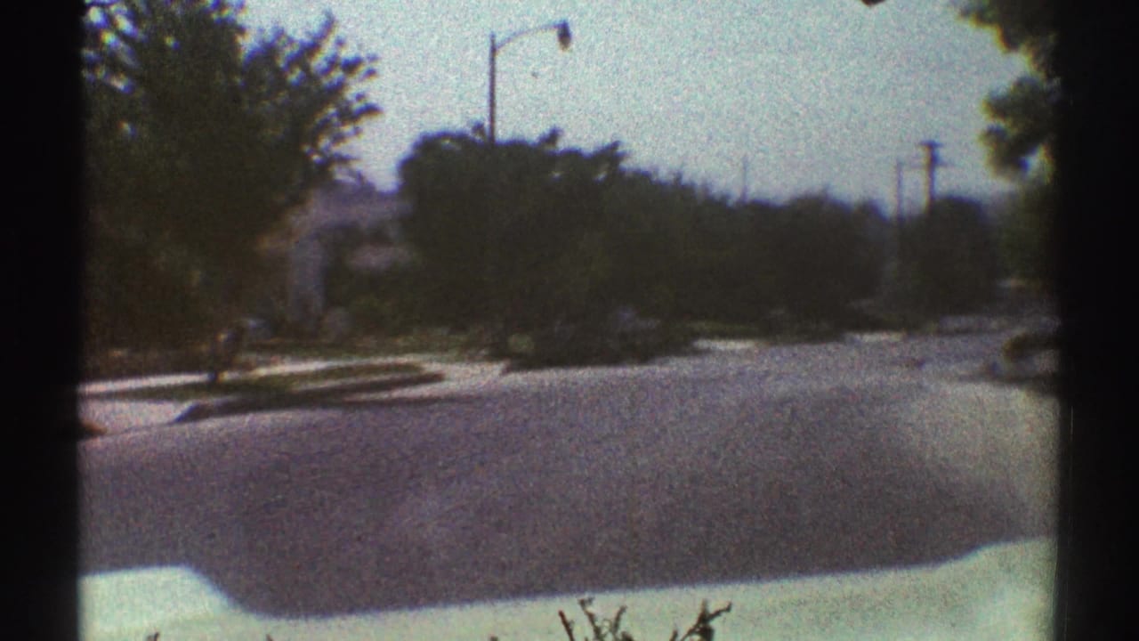 1969 Woodland Hills home-movie frame showing a quiet residential road, trees, sidewalk, utility poles, and distant houses from a moving viewpoint.