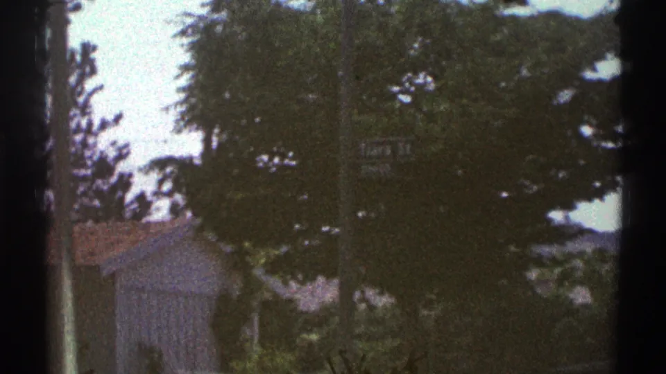 Soft 8mm view of a Woodland Hills residential street with dense trees, a low house roof, and dark gate-edge artifacts.